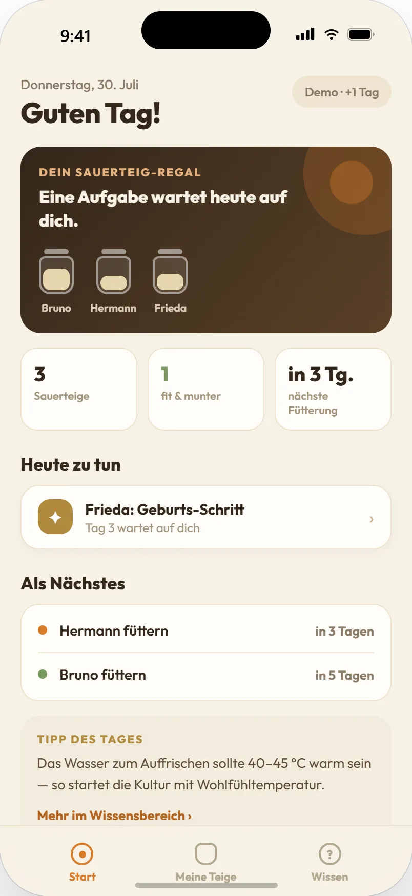 Dashboard mit Sauerteig-Regal und Aufgaben
